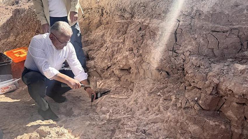 7,7 milyon yıllık keşif şaşkına çevirdi! Dünyada eşi benzeri yok! "Mucize gibi bir şey"