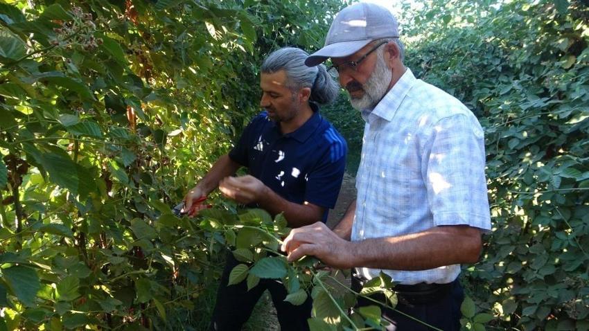 Malatya'nın 5 ilçesinde 40 dekar bahçe hibe veriliyor! Üretimde ilk kez kullanılacak