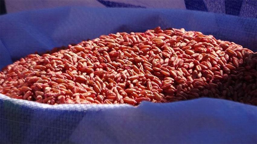 Van'da tarıma büyük destek! 11 bin 322 ton ücretsiz dağıtıldı