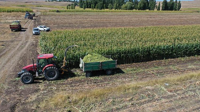 Kars'ta deneme amaçlı uygulandı! Verim arttı! Çiftçinin kazancı katlandı
