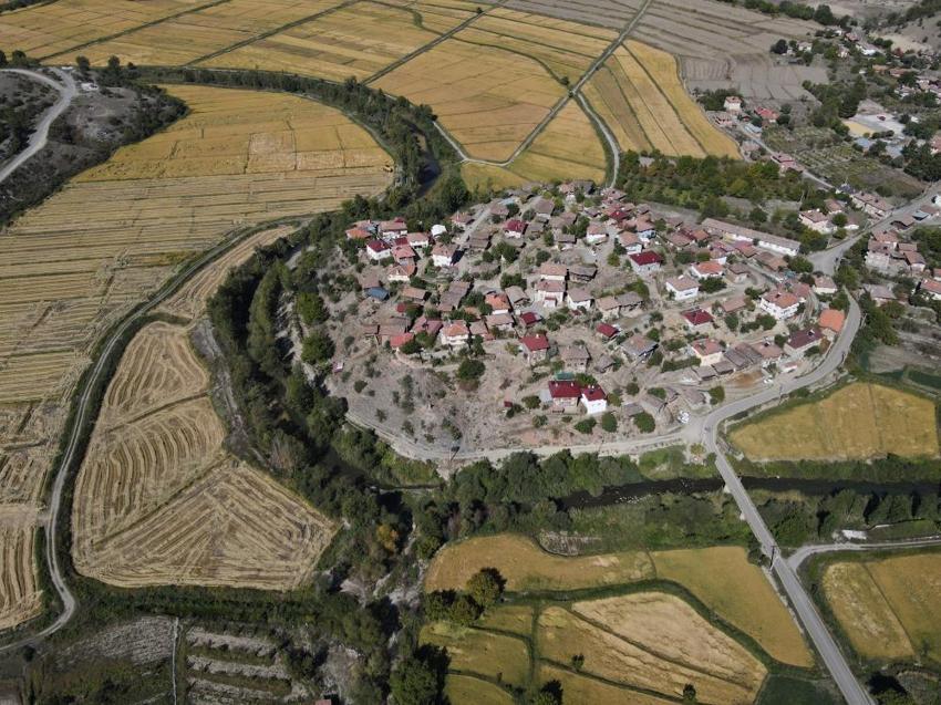 Tosya'da pirinç hasadı başladı, fiyatı tartışma yarattı! 'Maliyetleri çok arttı'