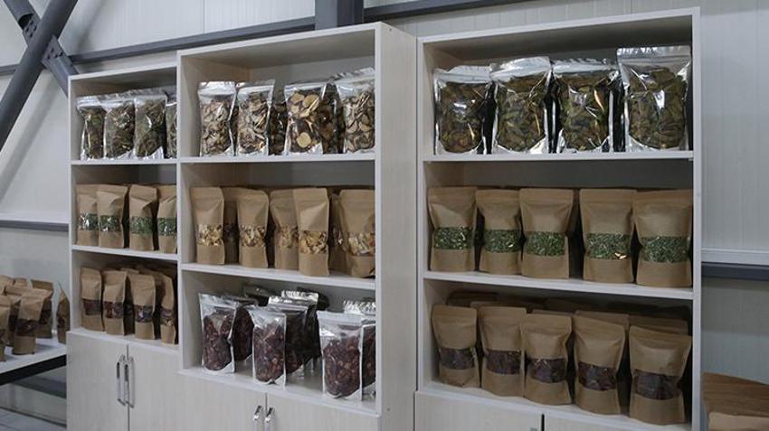 Tokat'ta devreye alındı! Hiçbir maliyeti yok, günlük 1 ton üretecekler