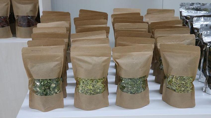 Tokat'ta devreye alındı! Hiçbir maliyeti yok, günlük 1 ton üretecekler