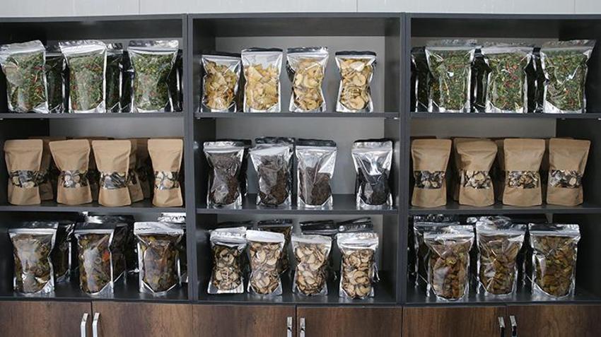 Tokat'ta devreye alındı! Hiçbir maliyeti yok, günlük 1 ton üretecekler