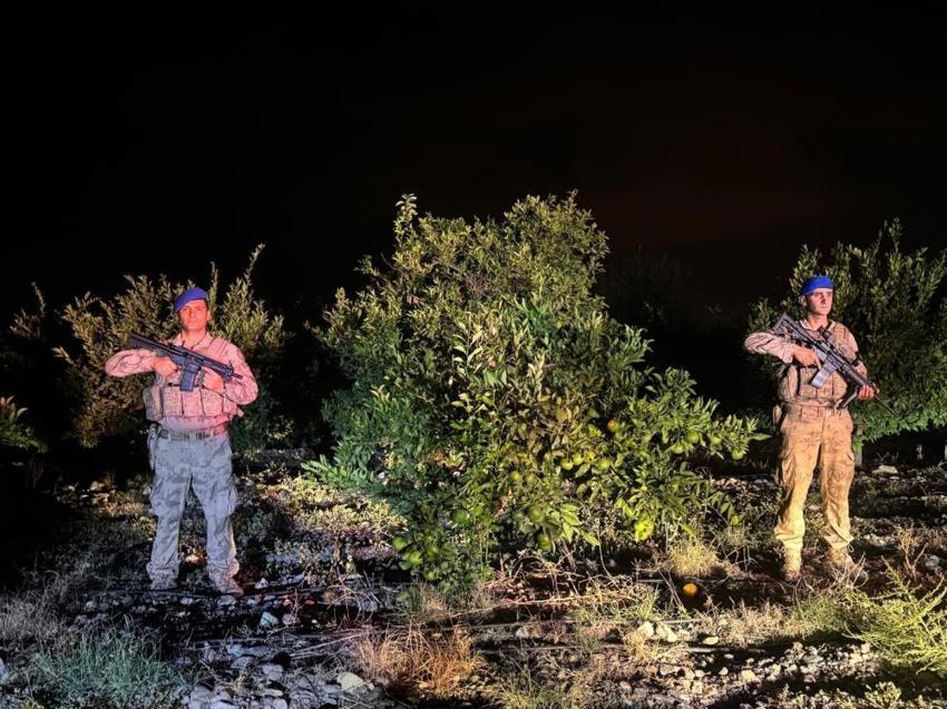 Hatay'da hasat başladı! Kuş uçurtulmuyor