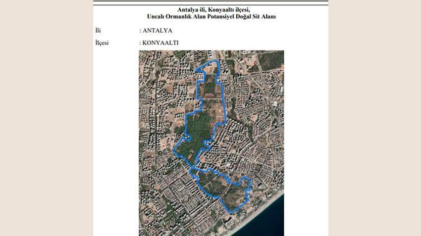 Konyaaltı'nda 'Arapsuyu Davası' 1970'den beri çözüme kavuşamıyor! Paha biçilemeyen arazinin mirasçıları arttıkça dava uzadı