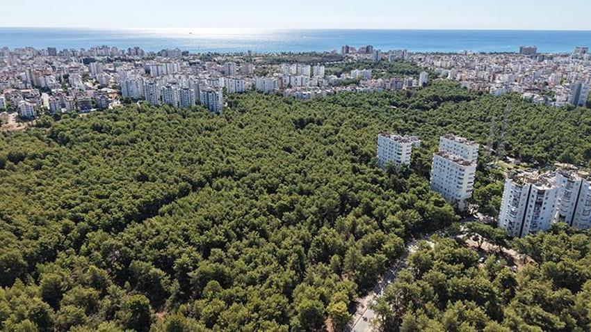 Konyaaltı'nda 'Arapsuyu Davası' 1970'den beri çözüme kavuşamıyor! Paha biçilemeyen arazinin mirasçıları arttıkça dava uzadı