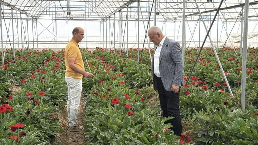 Tokat'ta bir zamanlar hayvan otlağıydı, şimdi dev bir üretim üssü oldu!