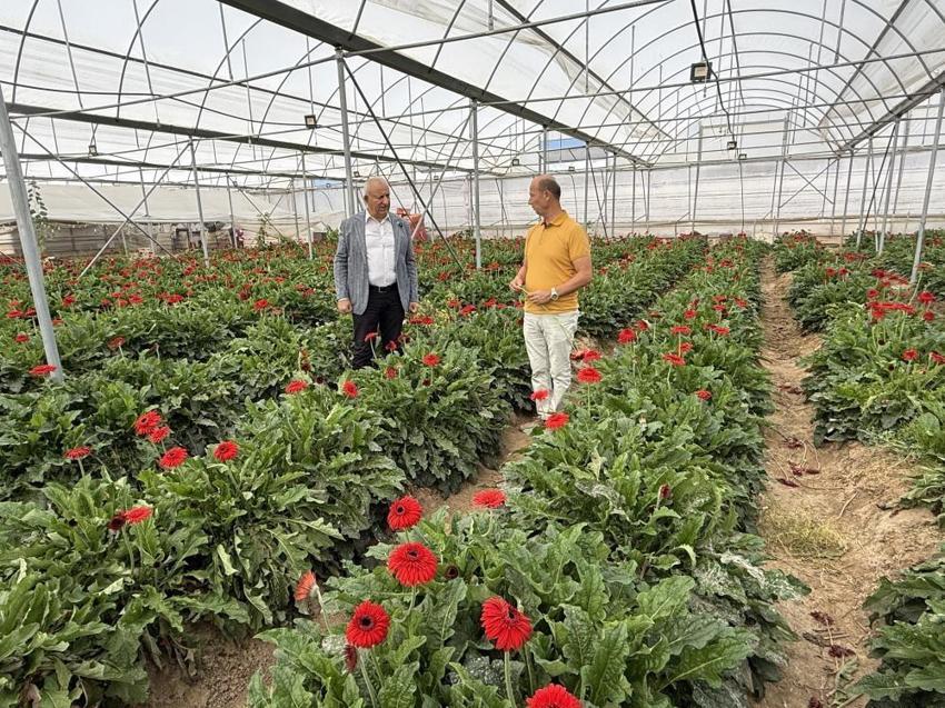 Tokat'ta bir zamanlar hayvan otlağıydı, şimdi dev bir üretim üssü oldu!
