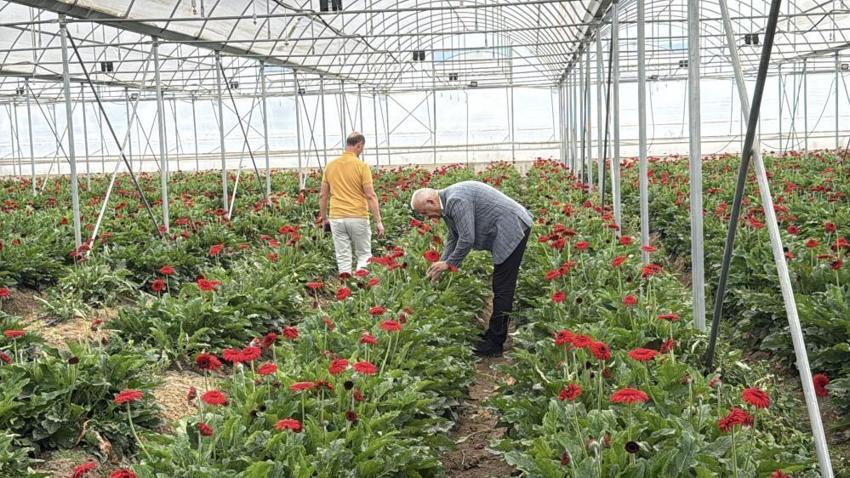 Tokat'ta bir zamanlar hayvan otlağıydı, şimdi dev bir üretim üssü oldu!