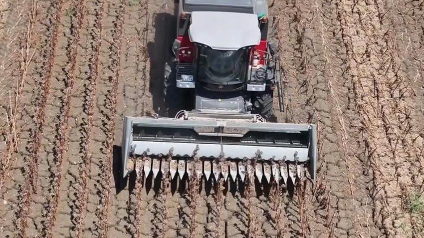 Ayçiçeği kurudu, tarlalar boş kaldı! Çiftçi zor günler geçiriyor