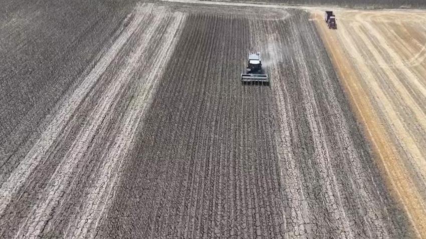 Ayçiçeği kurudu, tarlalar boş kaldı! Çiftçi zor günler geçiriyor