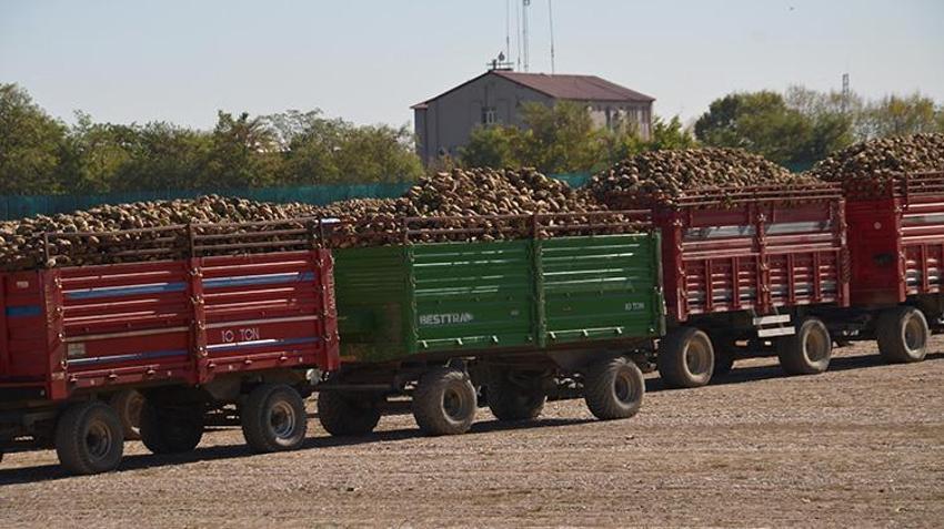 Muş'ta sezon başladı: 1532 çiftçinin yüzü gülecek, 1 milyar lira ödeme yapılacak!