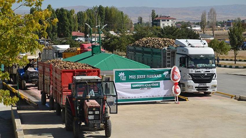 Muş'ta sezon başladı: 1532 çiftçinin yüzü gülecek, 1 milyar lira ödeme yapılacak!
