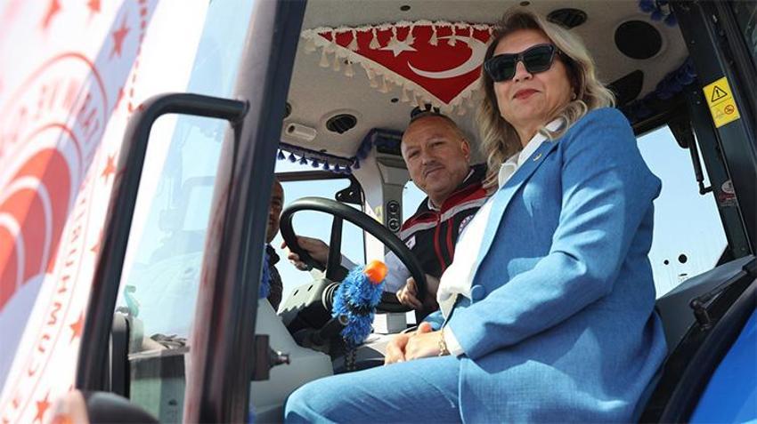 Nevşehir'in altın çekirdeği hasatta: Türkiye üretiminin üçte biri bu topraklardan çıkıyor!