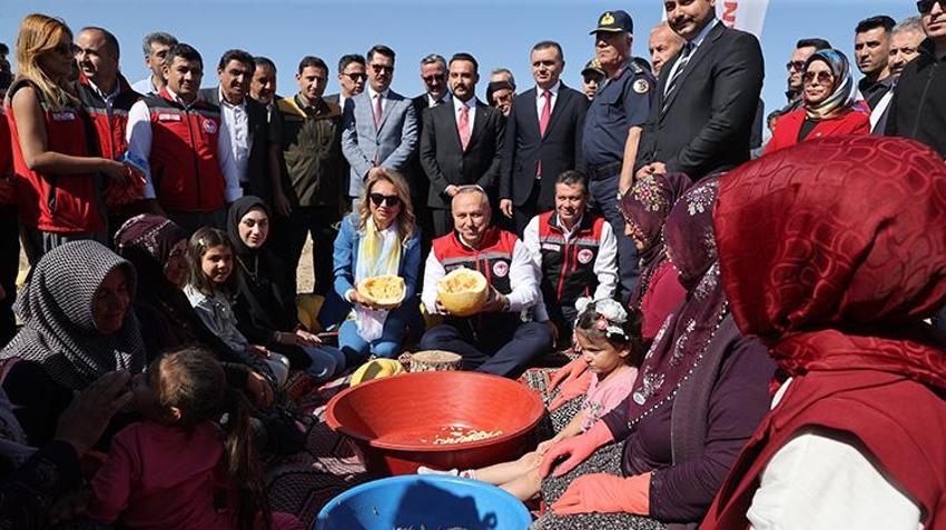 Nevşehir'in altın çekirdeği hasatta: Türkiye üretiminin üçte biri bu topraklardan çıkıyor!