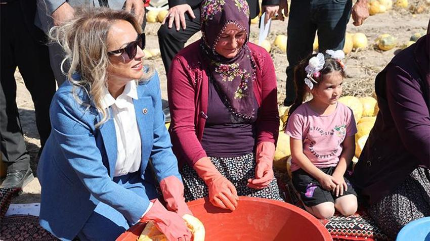 Nevşehir'in altın çekirdeği hasatta: Türkiye üretiminin üçte biri bu topraklardan çıkıyor!