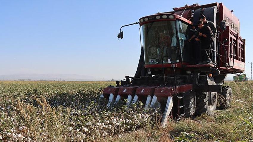 Hatay'da 'beyaz altın' hasadı başladı! 140 bin ton civarı rekolte bekleniyor
