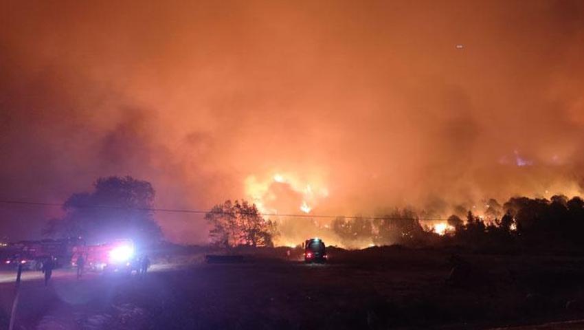 Bursa'da kabus geri döndü! Orman yangını rüzgarın etkisiyle büyüdü...