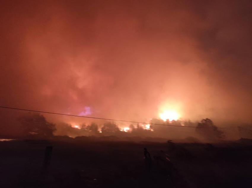 Bursa'da kabus geri döndü! Orman yangını rüzgarın etkisiyle büyüdü...