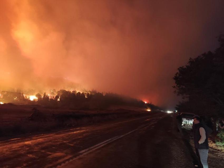 Bursa'da kabus geri döndü! Orman yangını rüzgarın etkisiyle büyüdü...
