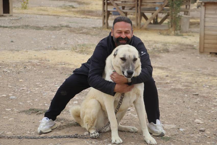 Sivas'ta kangalların bilinmeyen özelliği ortaya çıktı! Dengeleri değişti, artık eski gibi değil
