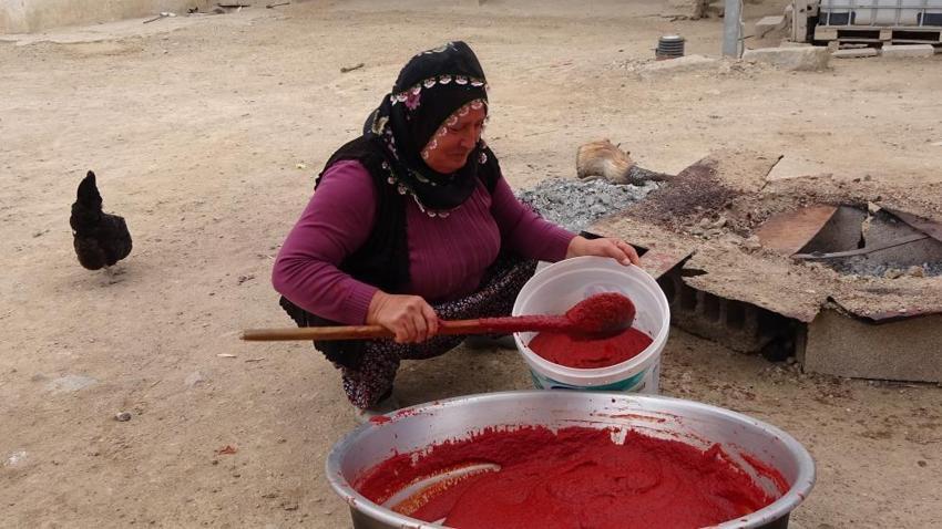 Yozgat'ta kış hazırlığı başladı: 40 yıllık sırrı olan salçalar 2-3 yıl bozulmuyor!