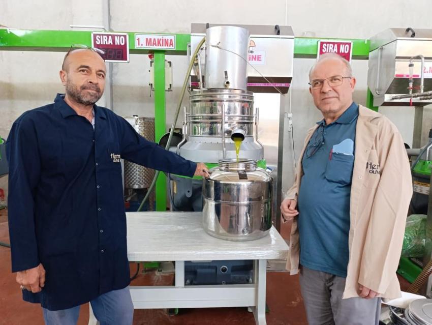 Manisa'da erken dönem hasat başladı! Üreticiler fabrikalara koşuyor