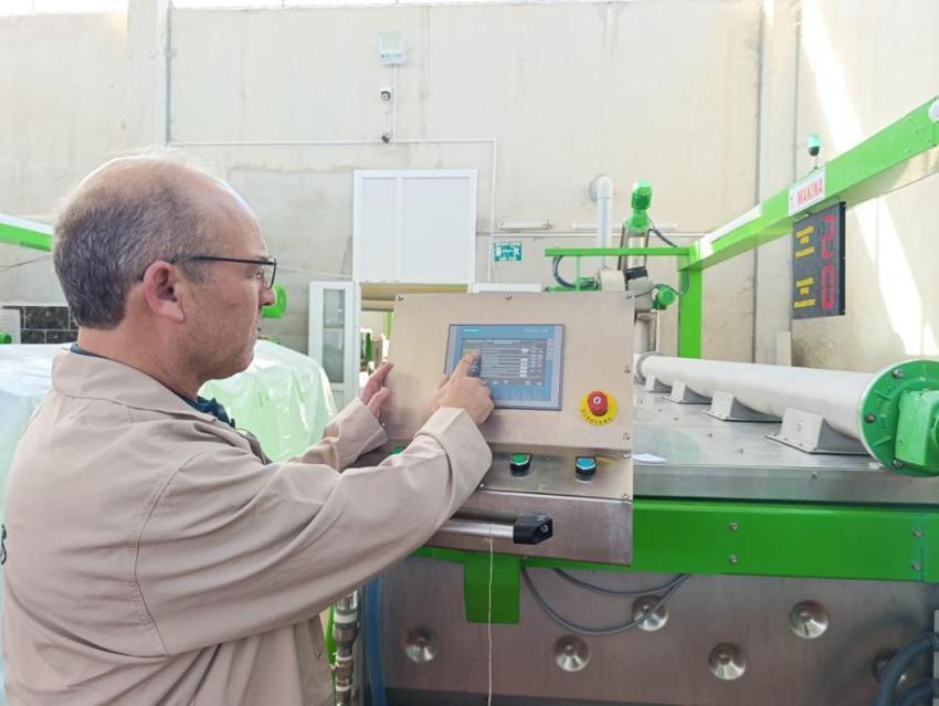 Manisa'da erken dönem hasat başladı! Üreticiler fabrikalara koşuyor