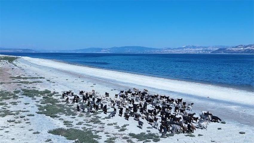 Burdur Gölü'ne balık tutmak için gitti, gördüğü manzara karşısında hayrete düştü