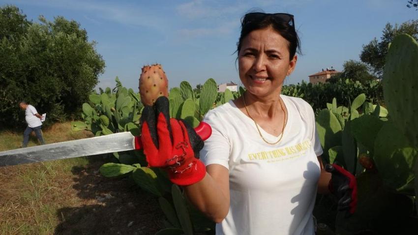 Antalya'da girişimci kadın bu bahçeyi kurarken alay konusu oldu! Şimdi ürünün tamamını yurt dışına satıyor