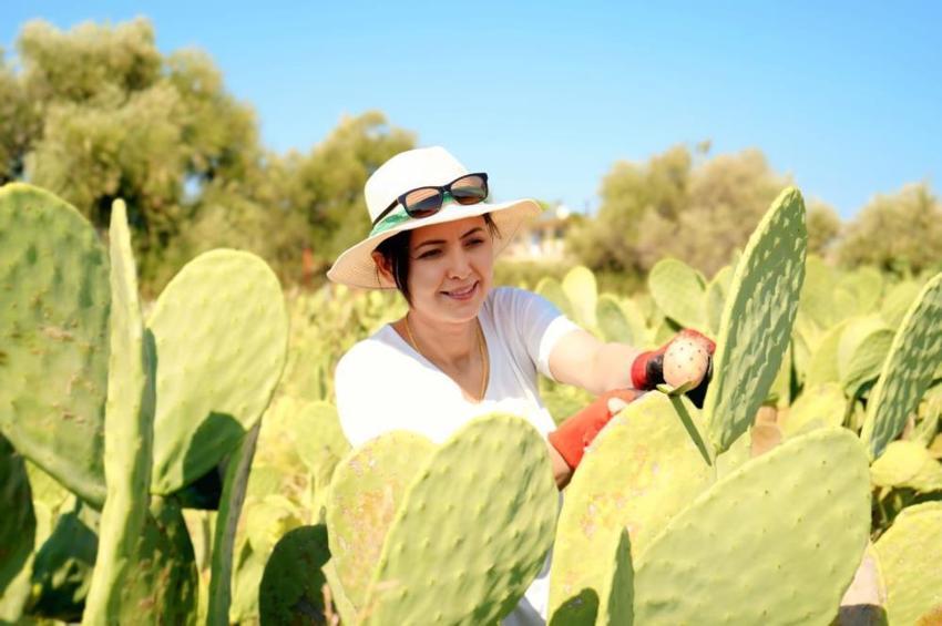Antalya'da girişimci kadın bu bahçeyi kurarken alay konusu oldu! Şimdi ürünün tamamını yurt dışına satıyor