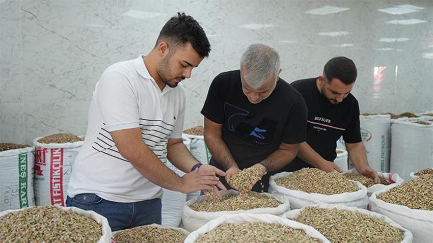 Gaziantep'in yeşil altınında 'yok' yılı! Fiyatlar 100'de yüz arttı, ithalat kararı sonrası ivme ters yönlü değişti