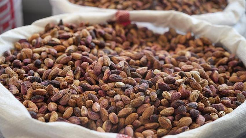 Gaziantep'in yeşil altınında 'yok' yılı! Fiyatlar 100'de yüz arttı, ithalat kararı sonrası ivme ters yönlü değişti