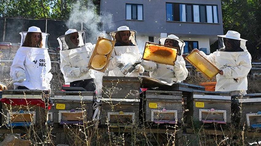 Vanlı kadınlar güçlerin birleştirip üretime başladı! Sezonun ilk hasadını yaptılar