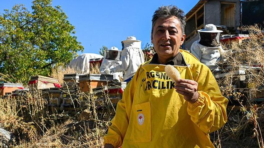 Vanlı kadınlar güçlerin birleştirip üretime başladı! Sezonun ilk hasadını yaptılar