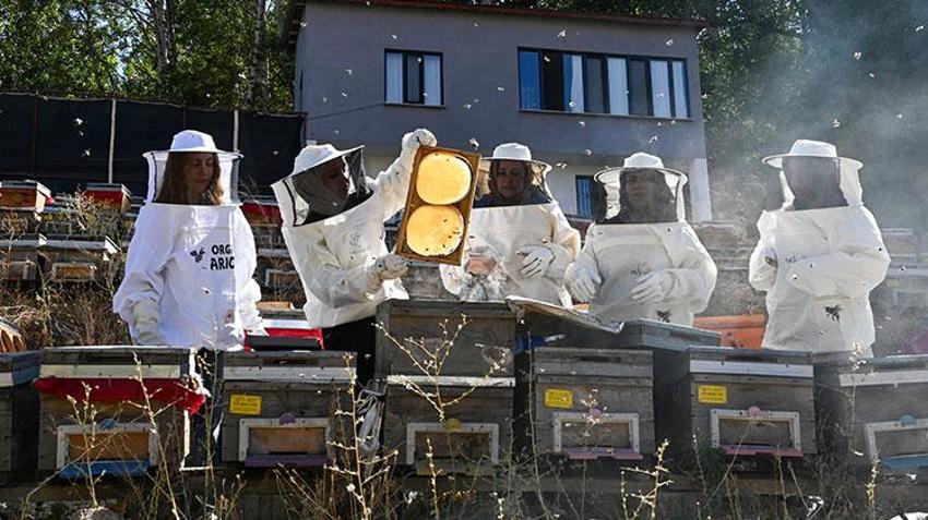 Vanlı kadınlar güçlerin birleştirip üretime başladı! Sezonun ilk hasadını yaptılar