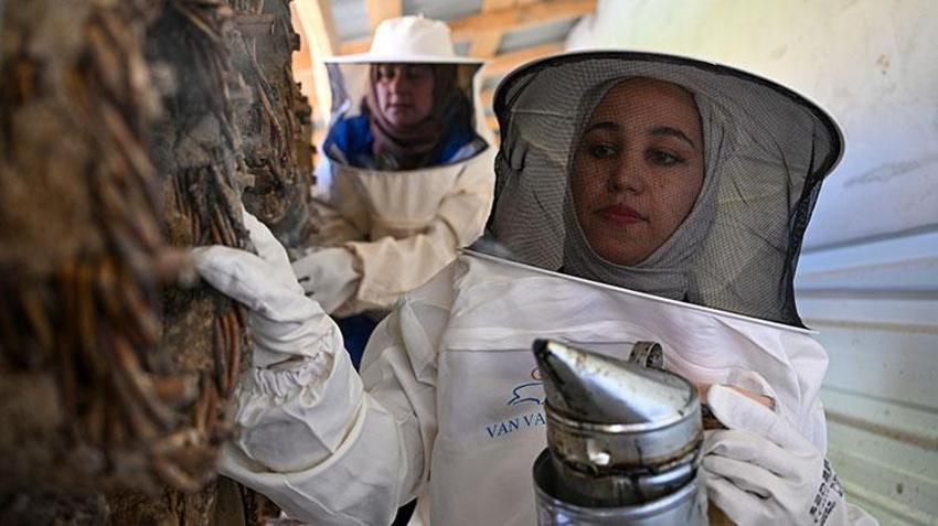 Vanlı kadınlar güçlerin birleştirip üretime başladı! Sezonun ilk hasadını yaptılar