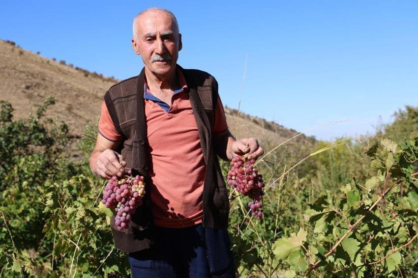 Elazığ'da asırlık lezzet mesaisi başladı! Köylünün geçim kaynağı oldu, taleplere yetişemiyorlar