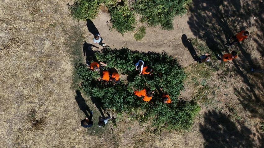 Kayseri'de ilkokul öğrencileri kendi meyve ve sebzesini kendileri yetiştiriyor!