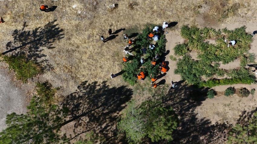 Kayseri'de ilkokul öğrencileri kendi meyve ve sebzesini kendileri yetiştiriyor!