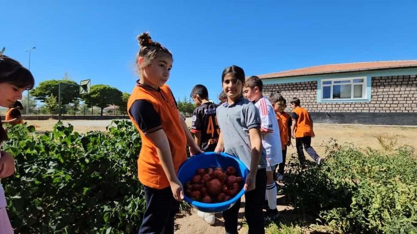 Kayseri'de ilkokul öğrencileri kendi meyve ve sebzesini kendileri yetiştiriyor!