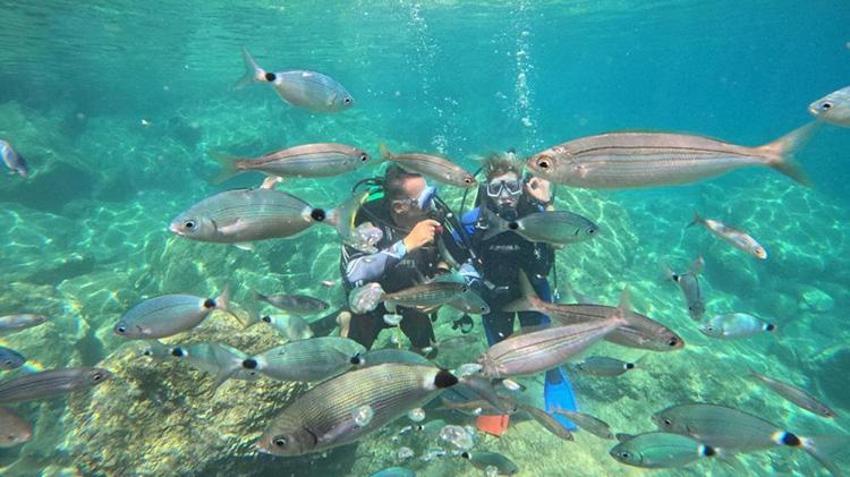 Marmaris’in su altı hazinesine yoğun ilgi: Batıklar ve mercanlar turist akınına uğruyor!