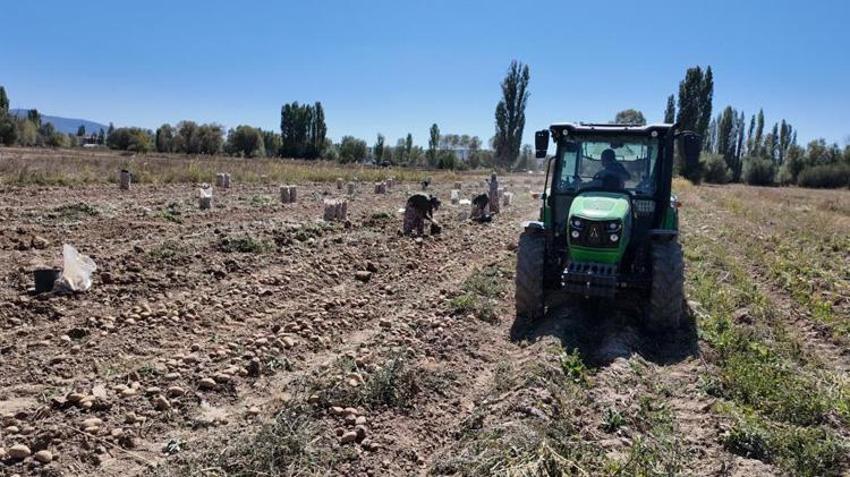 Eskişehir'de doğal yöntemlerle yetiştirilen ürün hasat edildi! Kuraklığa rağmen alınan verim yüz güldürdü