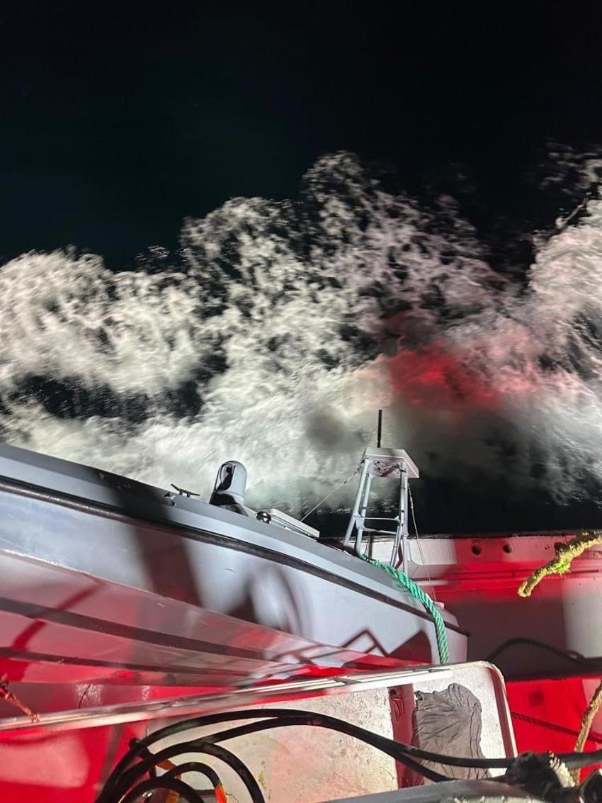 Balıkçılar 800 metre uzaktan fark etti! 300 kg ağırlığı var: Barınağa zar zor götürdüler