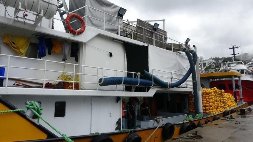 Balıkçılar 800 metre uzaktan fark etti! 300 kg ağırlığı var: Barınağa zar zor götürdüler