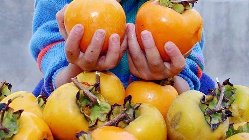 Konya’daki bu ilçe ezber bozuyor! Duyanlar şaşırıyor