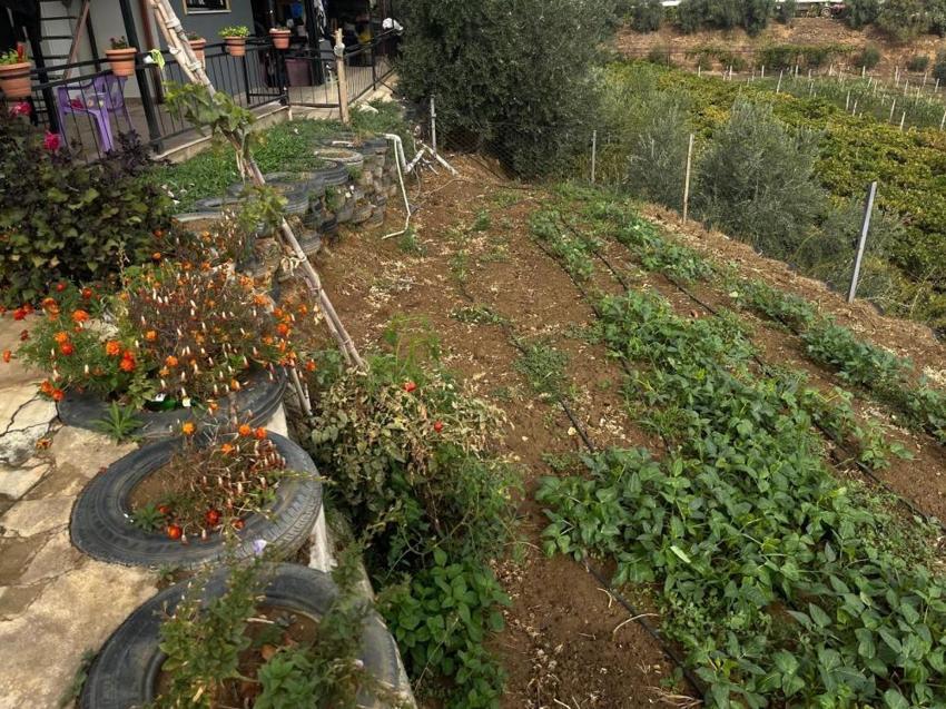 Atık lastiklerden bir dünya kurdu: Manisa'da çiçek ve sebzelere yuva oldu