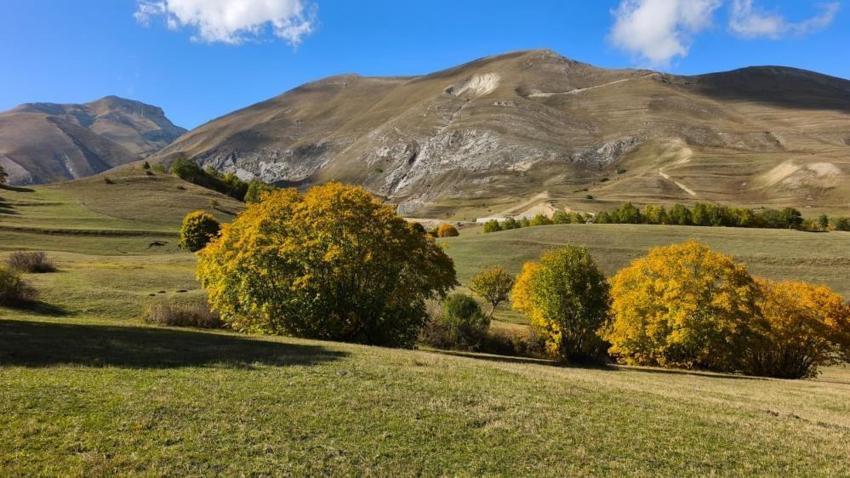 Karadeniz'e sonbahar ilk önce bu ilçeye geldi! Yapraklar sarardı görsel şölen göz kamaştırdı