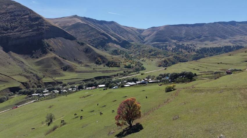 Karadeniz'e sonbahar ilk önce bu ilçeye geldi! Yapraklar sarardı görsel şölen göz kamaştırdı